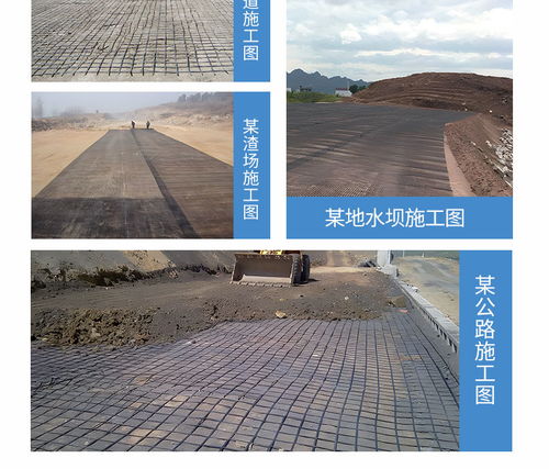 攀枝花鋼塑土工格柵耐風(fēng)化 路橋聚丙烯土工格柵行業(yè)品牌