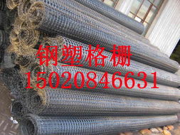 供應成都鋼塑土工格柵產品質量穩(wěn)定可靠
