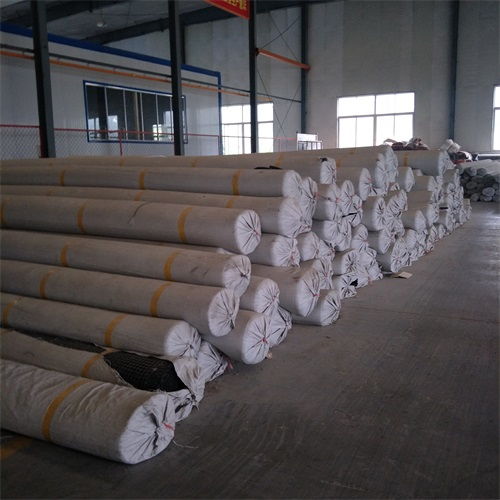 遵義鋼塑土工格柵規格詳解