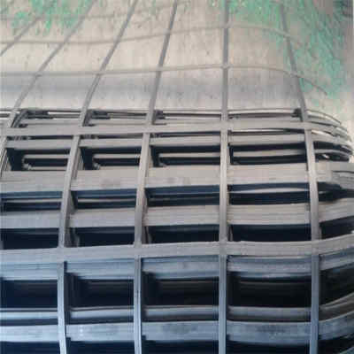 四川資陽(yáng)擋土墻鋼塑土工格柵 閃電發(fā)貨，質(zhì)量鑄就信譽(yù)