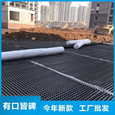 江蘇省泰州市鋼塑土工格柵的應(yīng)用與發(fā)展